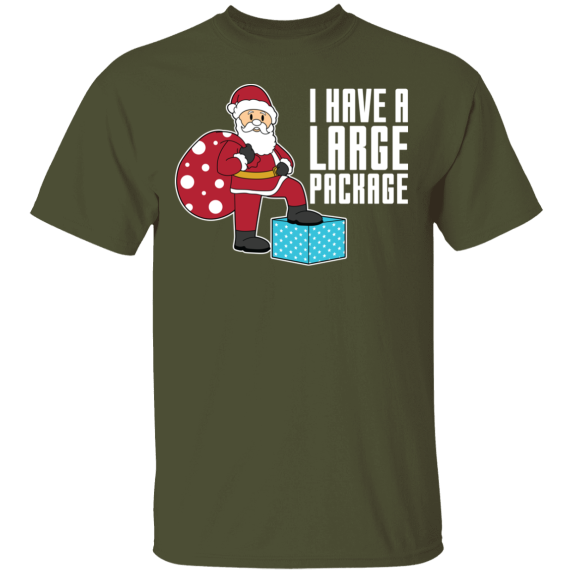 Funny Santa I Have A Large Package Christmas T-Shirt