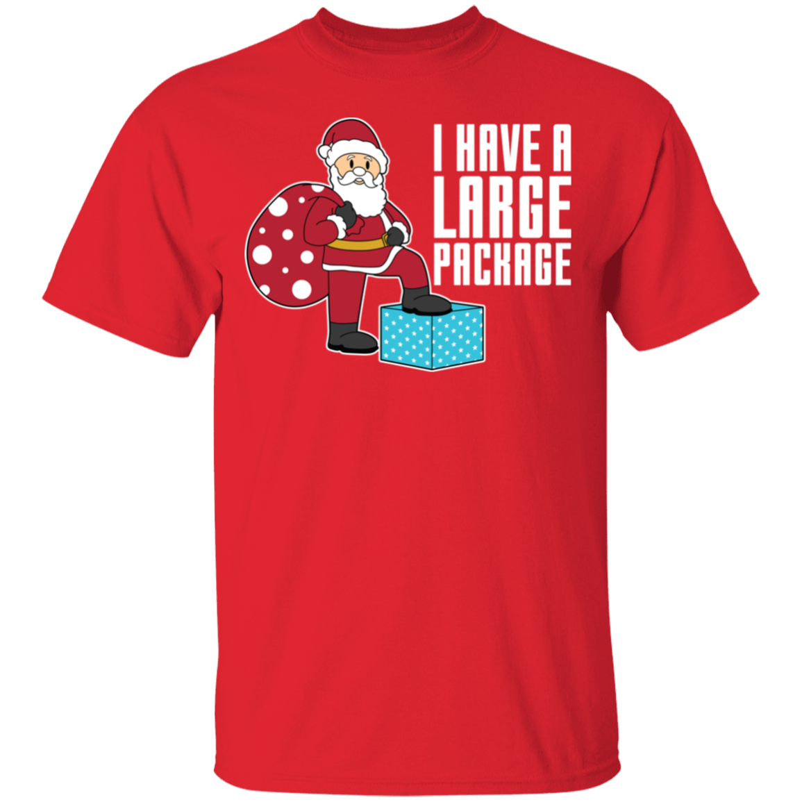 Funny Santa I Have A Large Package Christmas T-Shirt
