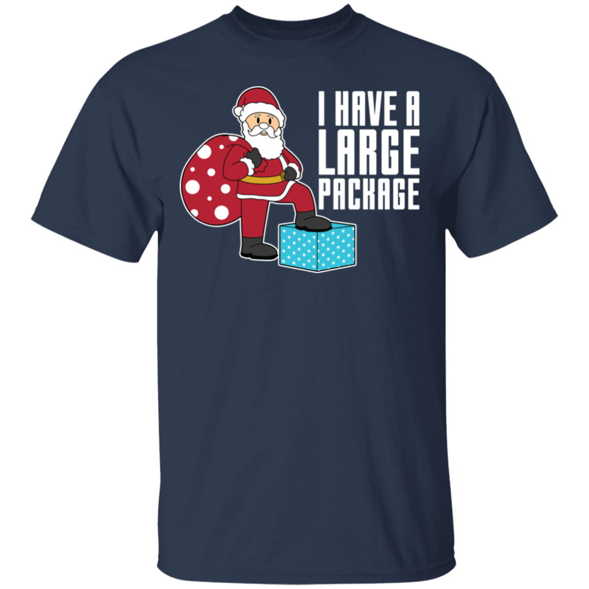Funny Santa I Have A Large Package Christmas T-Shirt