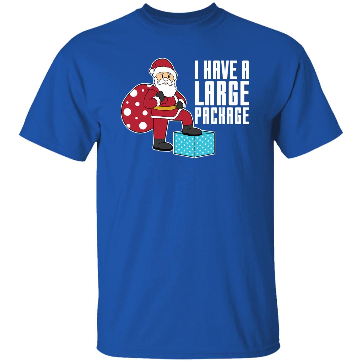 I Have A Large Package Funny Santa Christmas T-Shirt