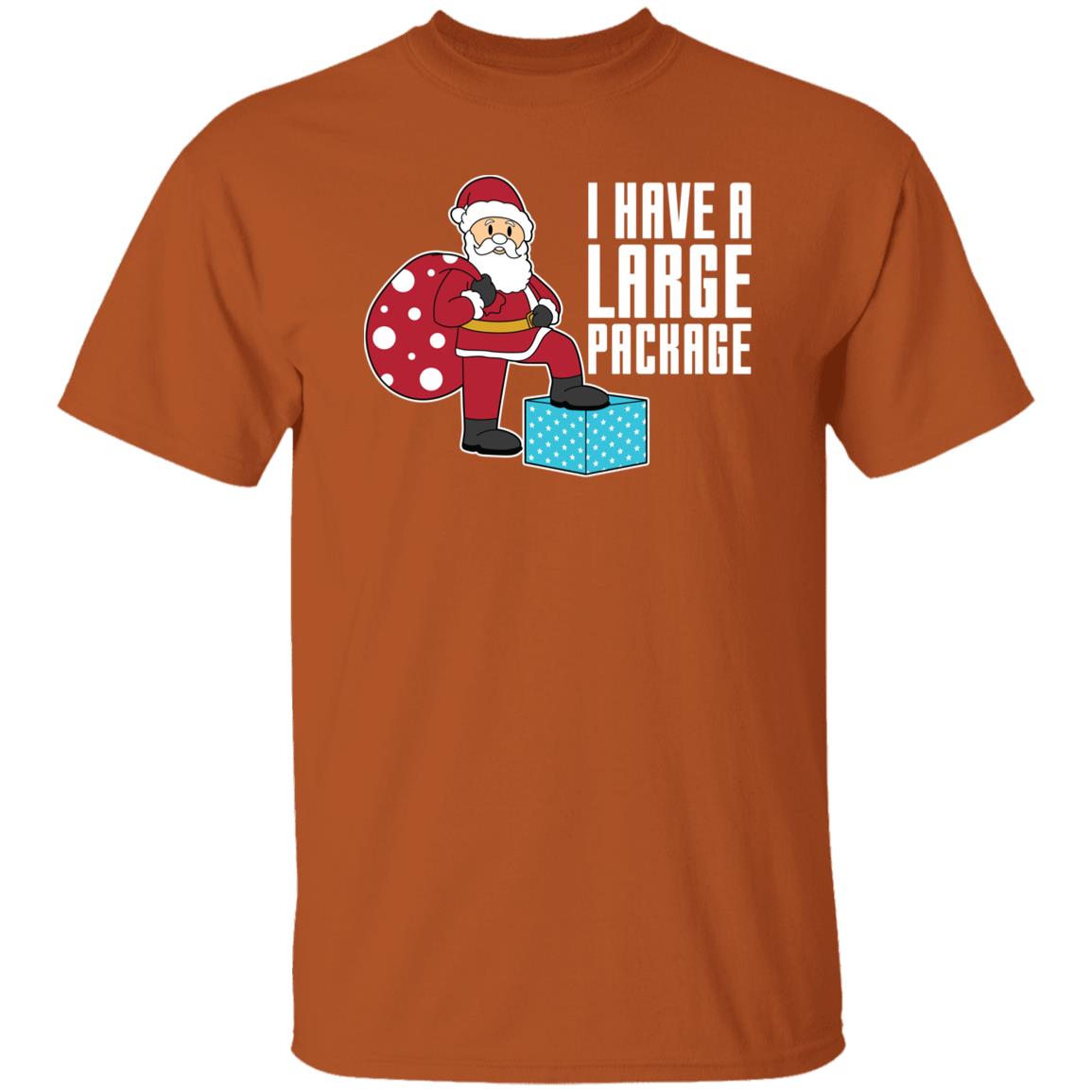 I Have A Large Package Funny Santa Christmas T-Shirt