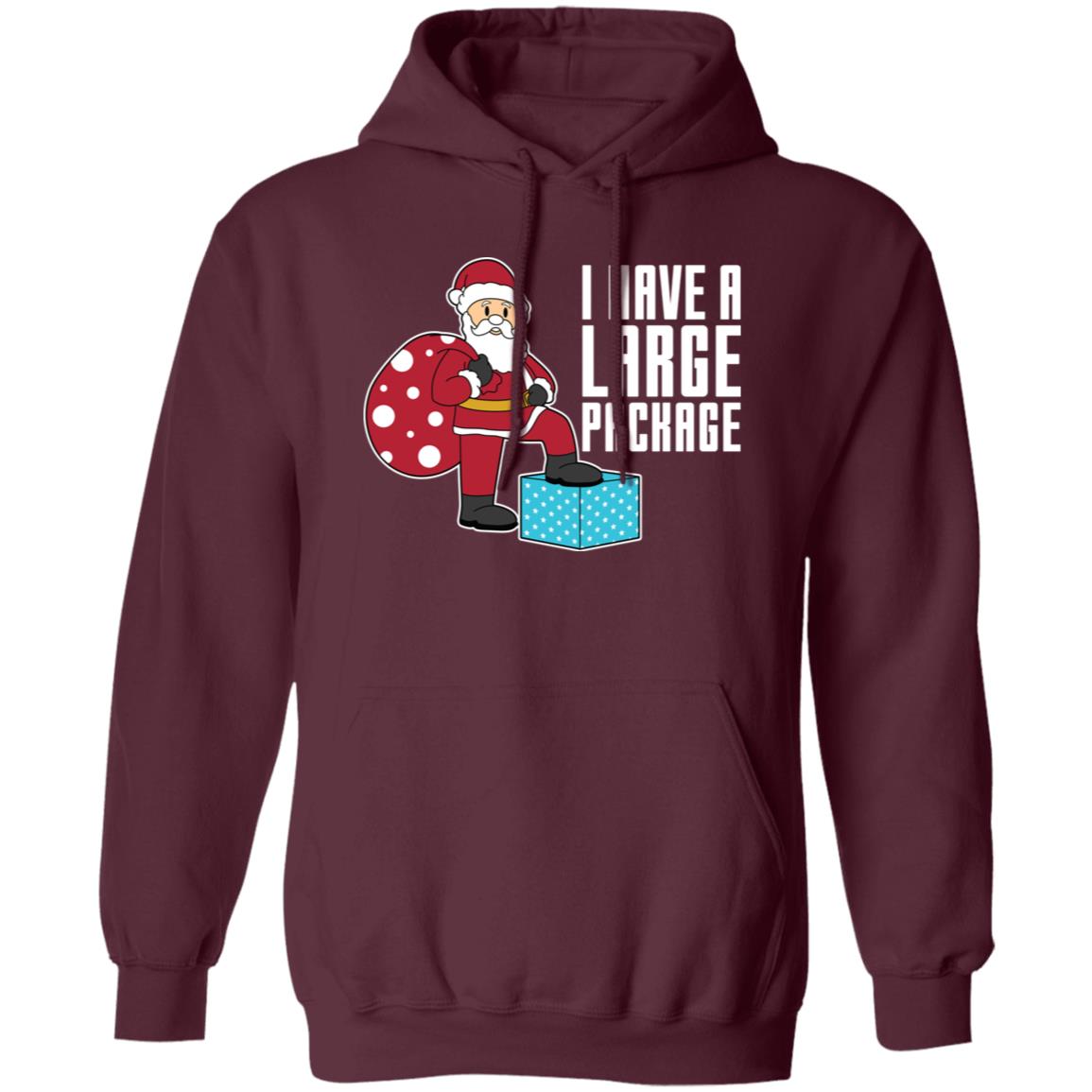I Have A Large Package Funny Santa Christmas Pullover Hoodie