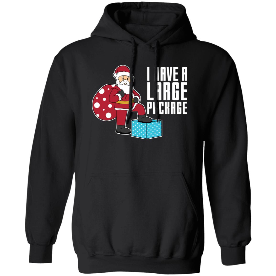 I Have A Large Package Funny Santa Christmas Pullover Hoodie
