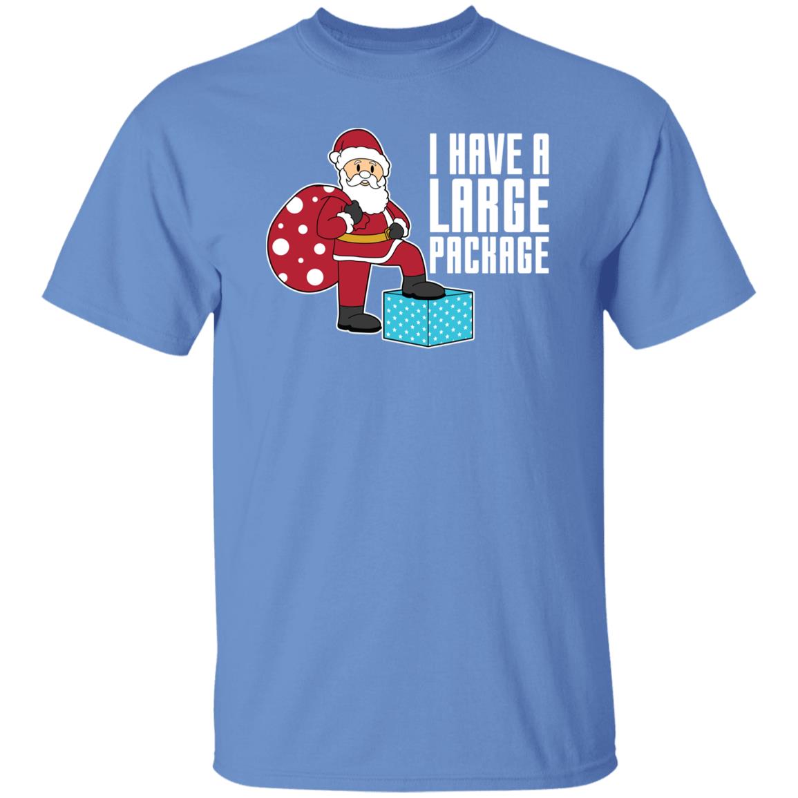 I Have A Large Package Funny Santa Christmas T-Shirt