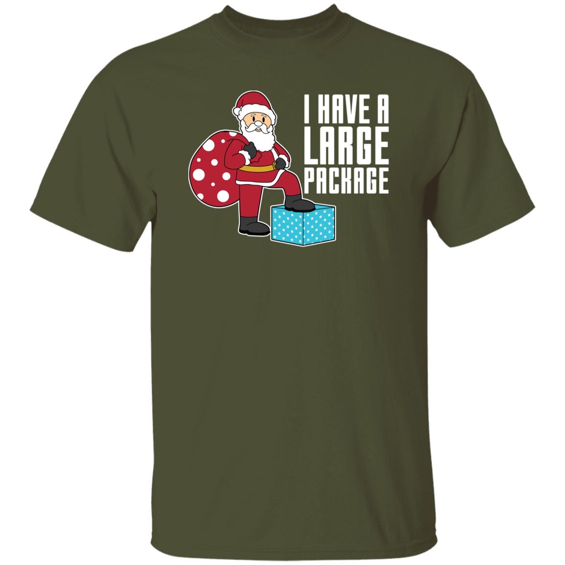 I Have A Large Package Funny Santa Christmas T-Shirt