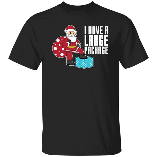 I Have A Large Package Funny Santa Christmas T-Shirt