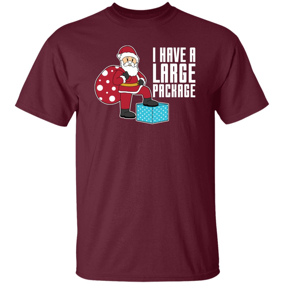 I Have A Large Package Funny Santa Christmas T-Shirt