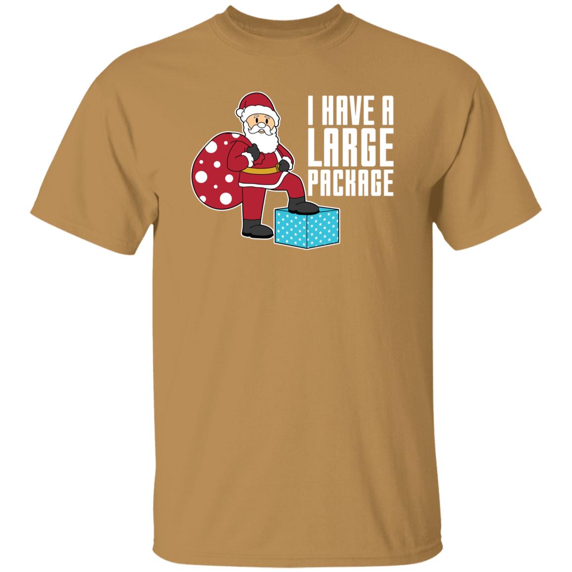 I Have A Large Package Funny Santa Christmas T-Shirt