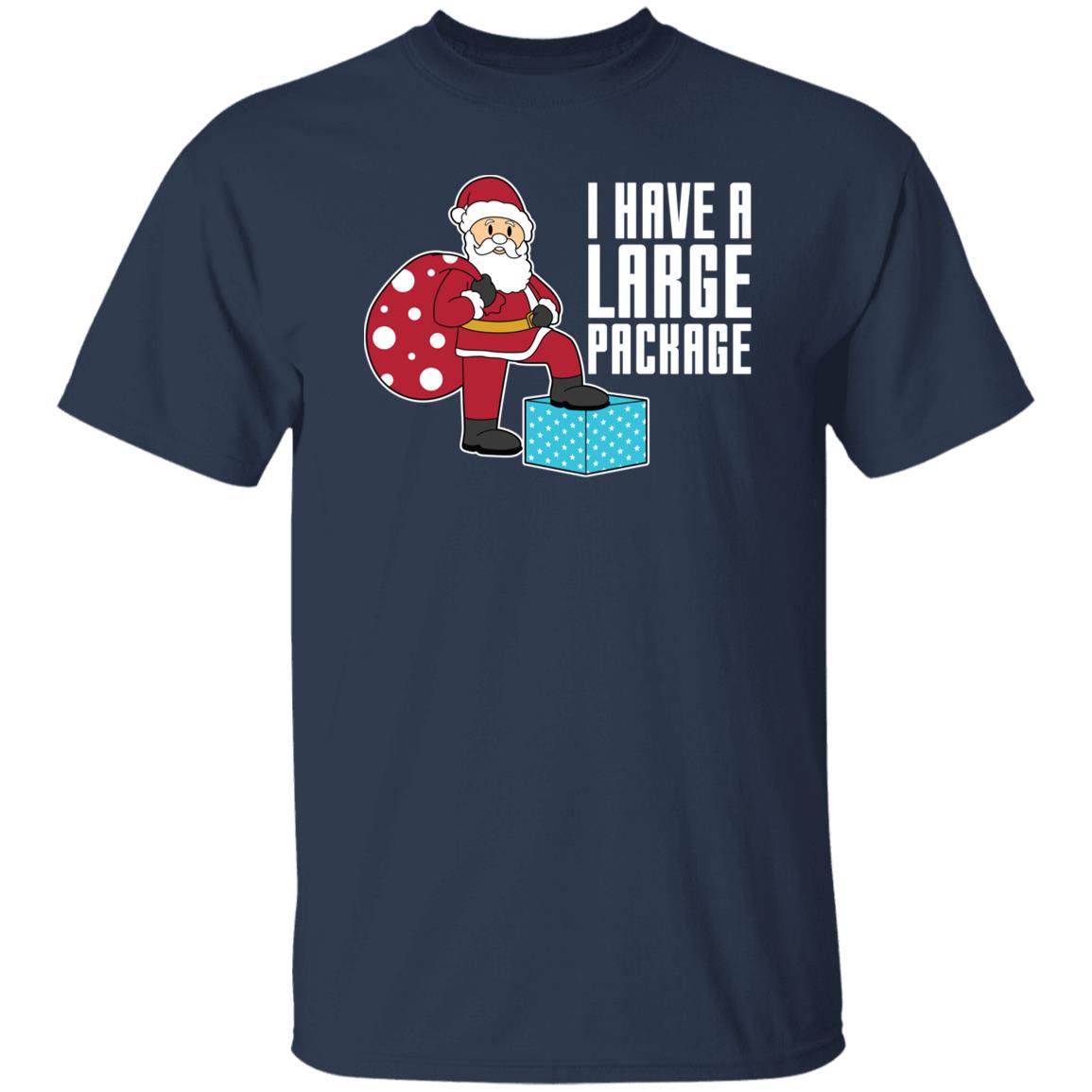 I Have A Large Package Funny Santa Christmas T-Shirt
