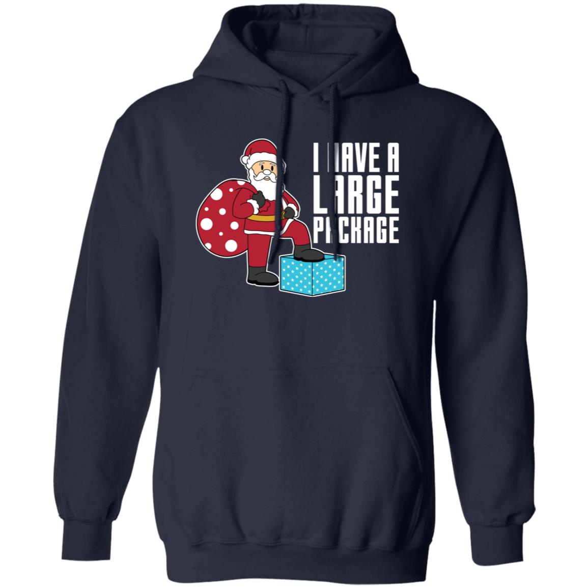 I Have A Large Package Funny Santa Christmas Pullover Hoodie