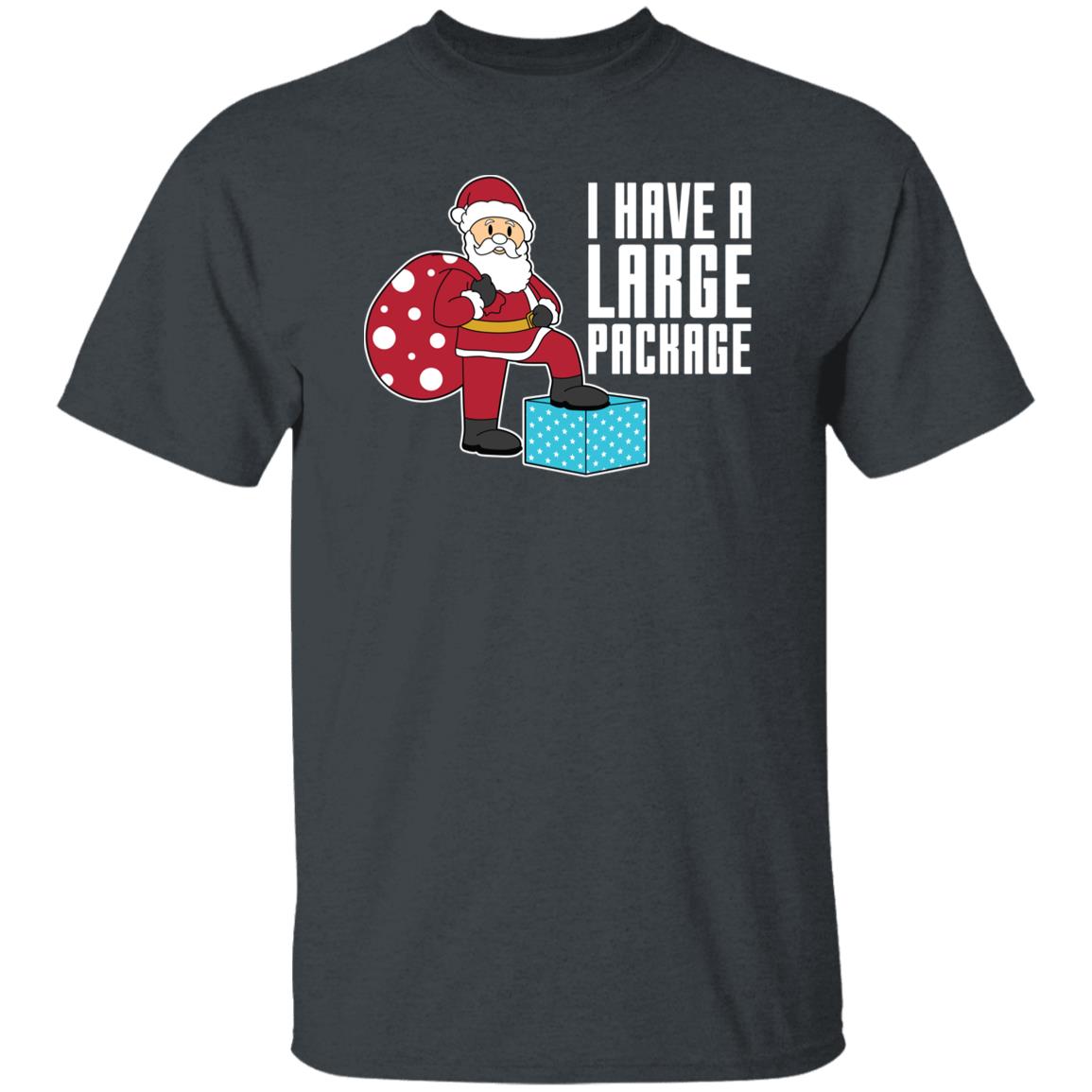 I Have A Large Package Funny Santa Christmas T-Shirt