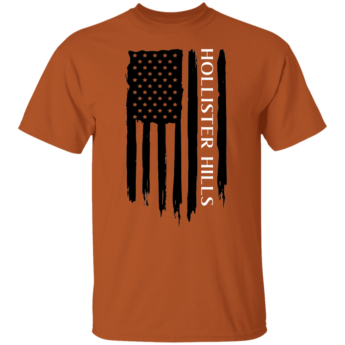 Hollister Hills American Flag T-Shirt