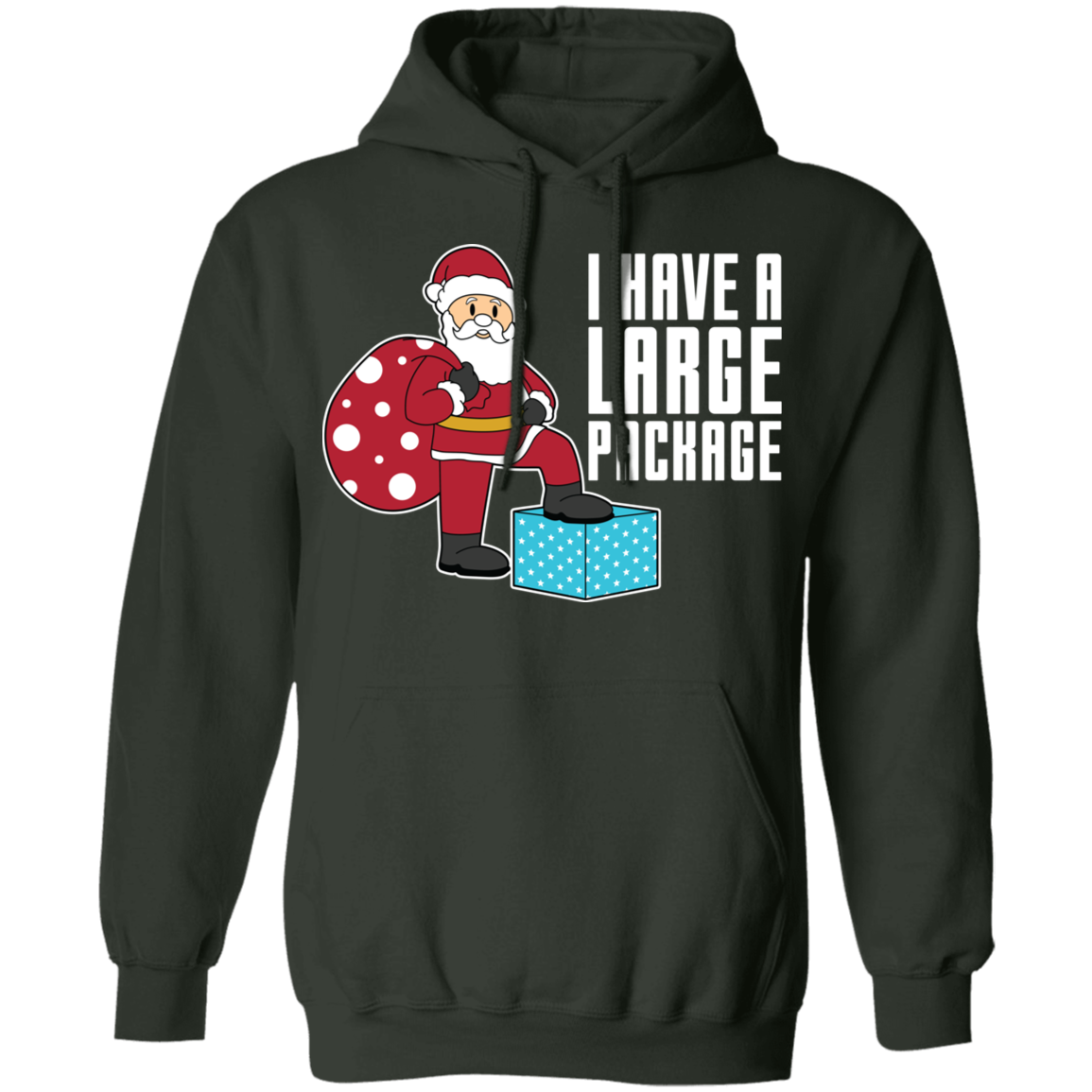 Funny Santa I Have A Large Package Christmas Pullover Hoodie