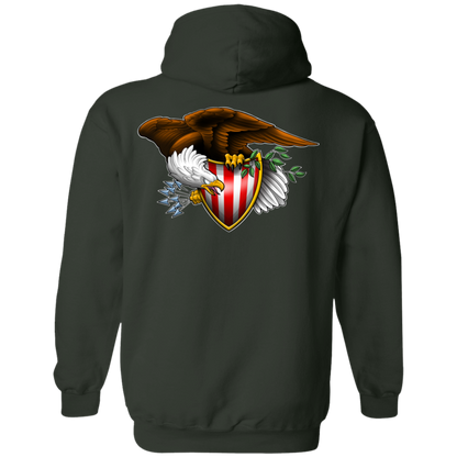 Patriot American Bald Eagle Double Sided Pullover Hoodie
