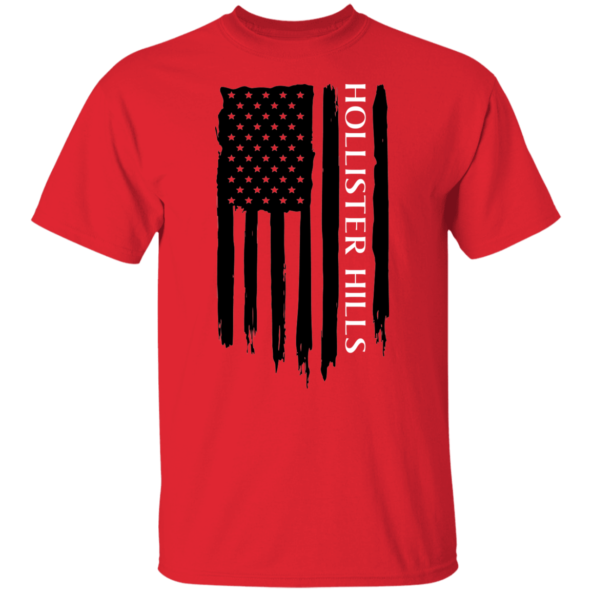 Hollister Hills American Flag T-Shirt