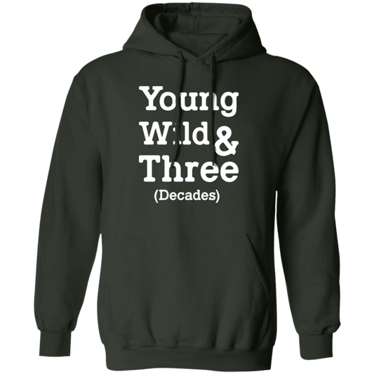 Young Wild And Three Decades Funny Thirties Birthday Pullover Hoodie